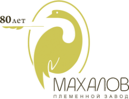 Логотип компании Махалов